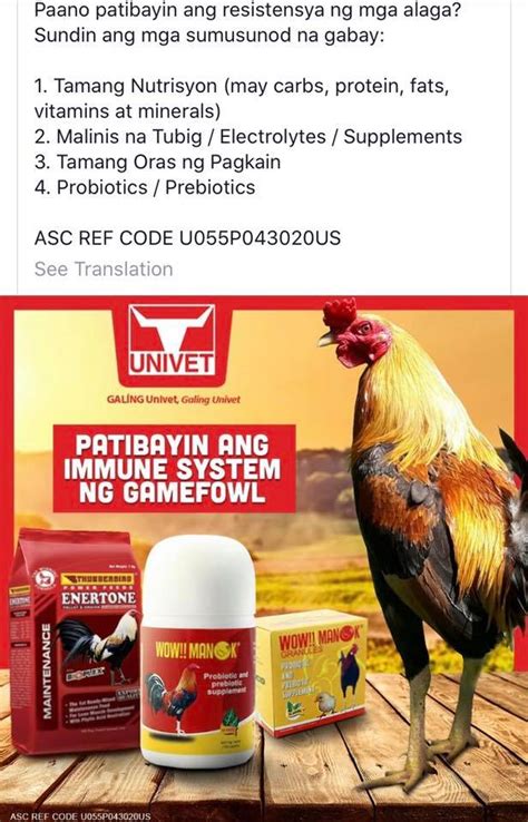 vitamins sa manok panabong|Manok Panabong Conditioning Vitamins Para Sa Manok Panabong.